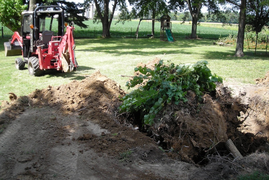 Big Stump Pull